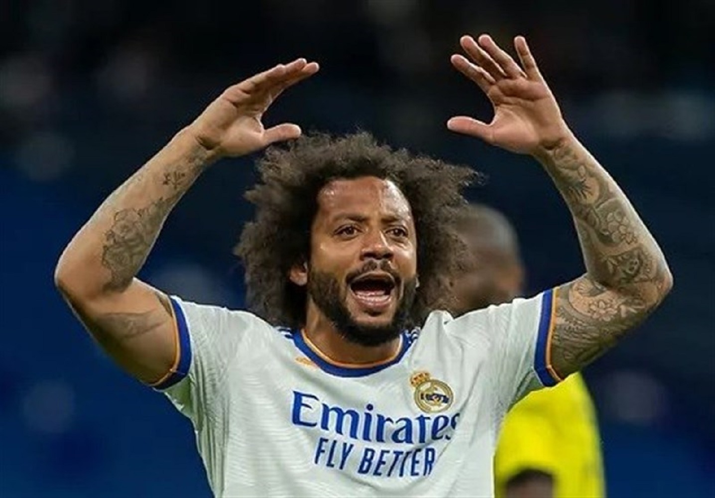 مارسلو در فکر بازنشستگی - نتایج زنده مسابقات ورزشی مارسلو در فکر بازنشستگی