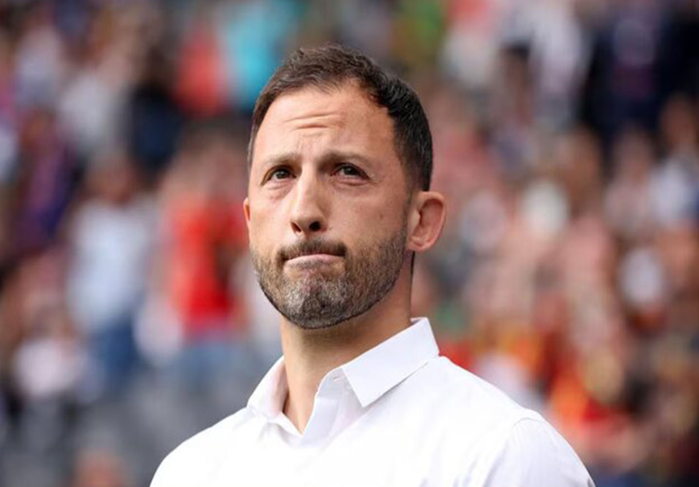 نتایج زنده مسابقات ورزشی تدسکو بلژیک تنها نیست فرانسه هم کم گل زده - نتایج زنده مسابقات ورزشی نتایج زنده مسابقات ورزشی تدسکو بلژیک تنها نیست فرانسه هم کم گل زده