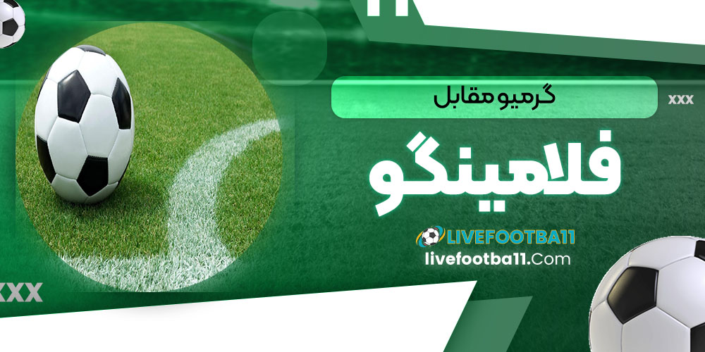 گرمیو مقابل فلامینگو