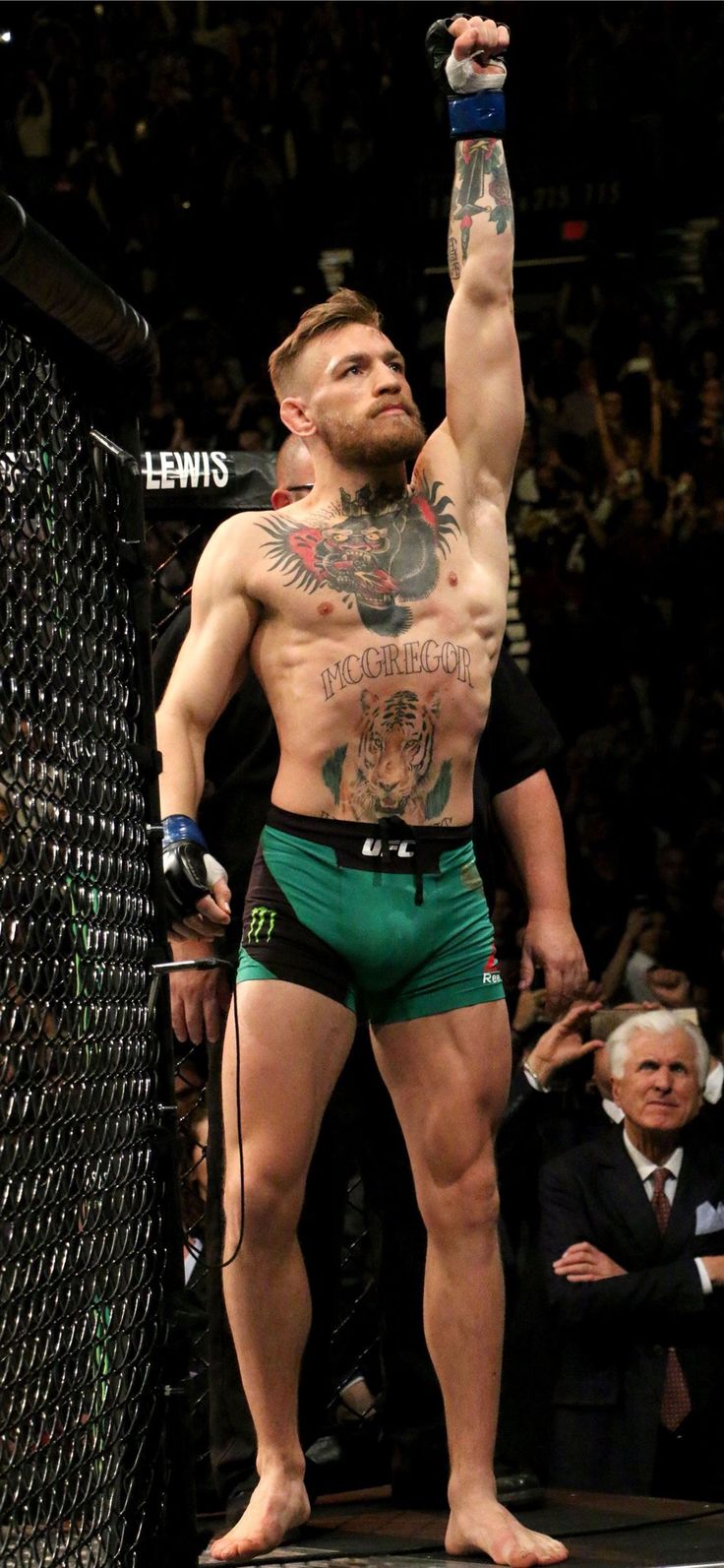 Conor McGregor wallpaper for phone