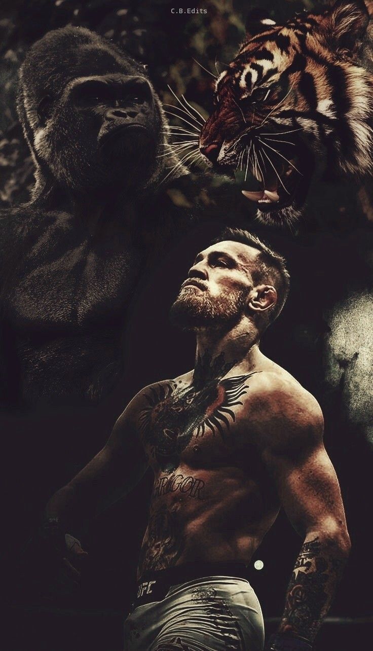 Conor McGregor wallpaper 4k