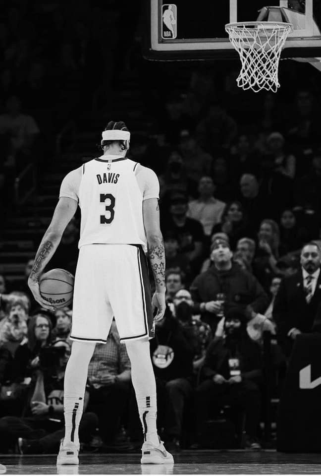 زندگی حرفه ای آنتونی دیویس زندگی حرفه ای آنتونی دیویس