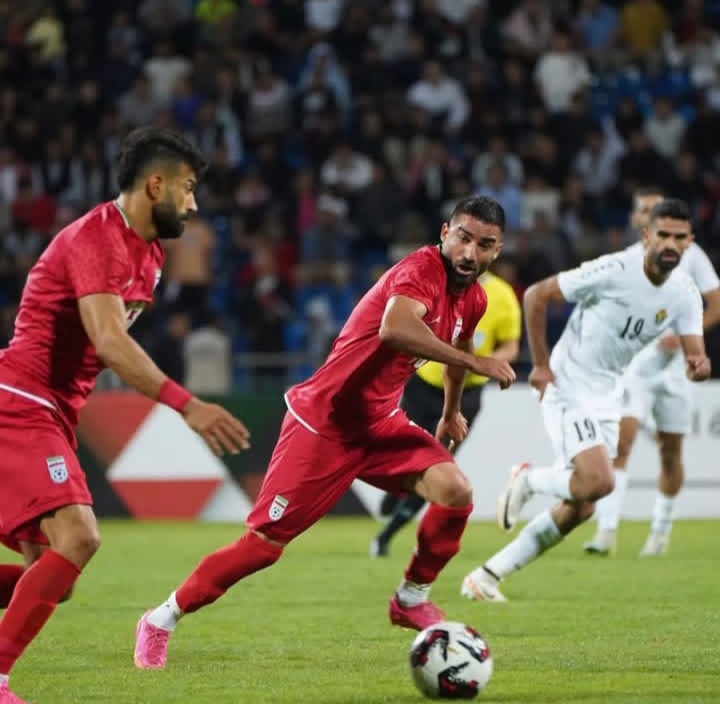 زندگی حرفه ای مهرداد محمدی زندگی حرفه ای مهرداد محمدی