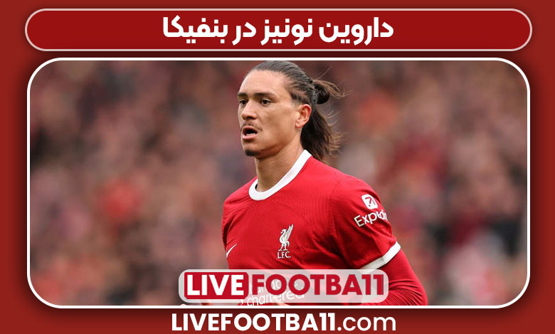 داروین نونیز در بنفیکا