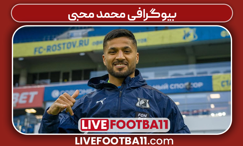 بیوگرافی محمد محبی