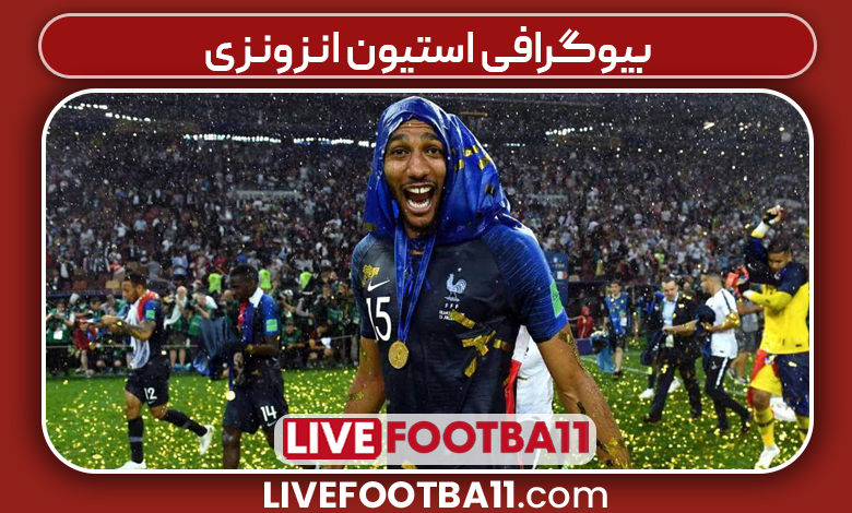 بیوگرافی استیون انزونزی