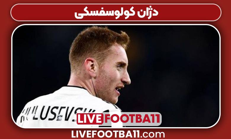 ویلیام سالیبا بازیکن