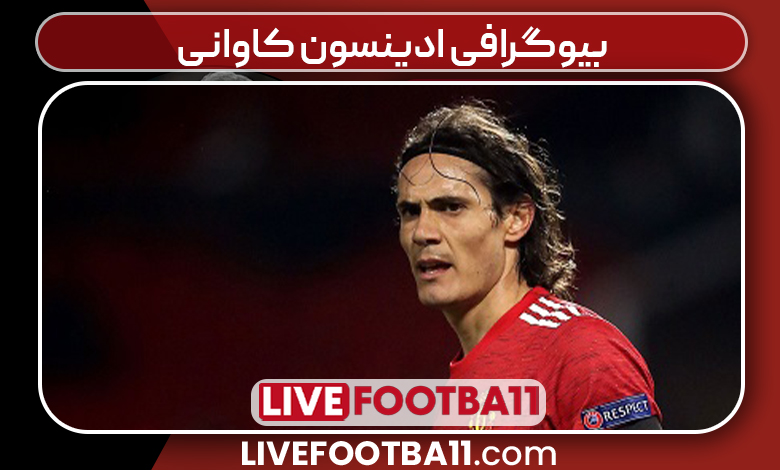 بیوگرافی ادینسون کاوانی