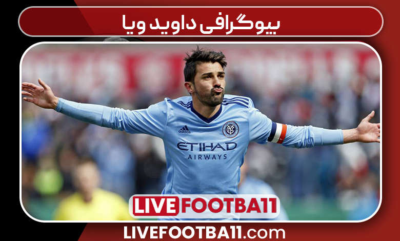 بیوگرافی داوید ویا