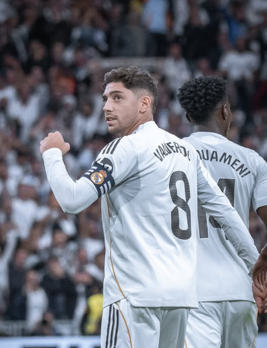 فدریکو والورده عکس ها