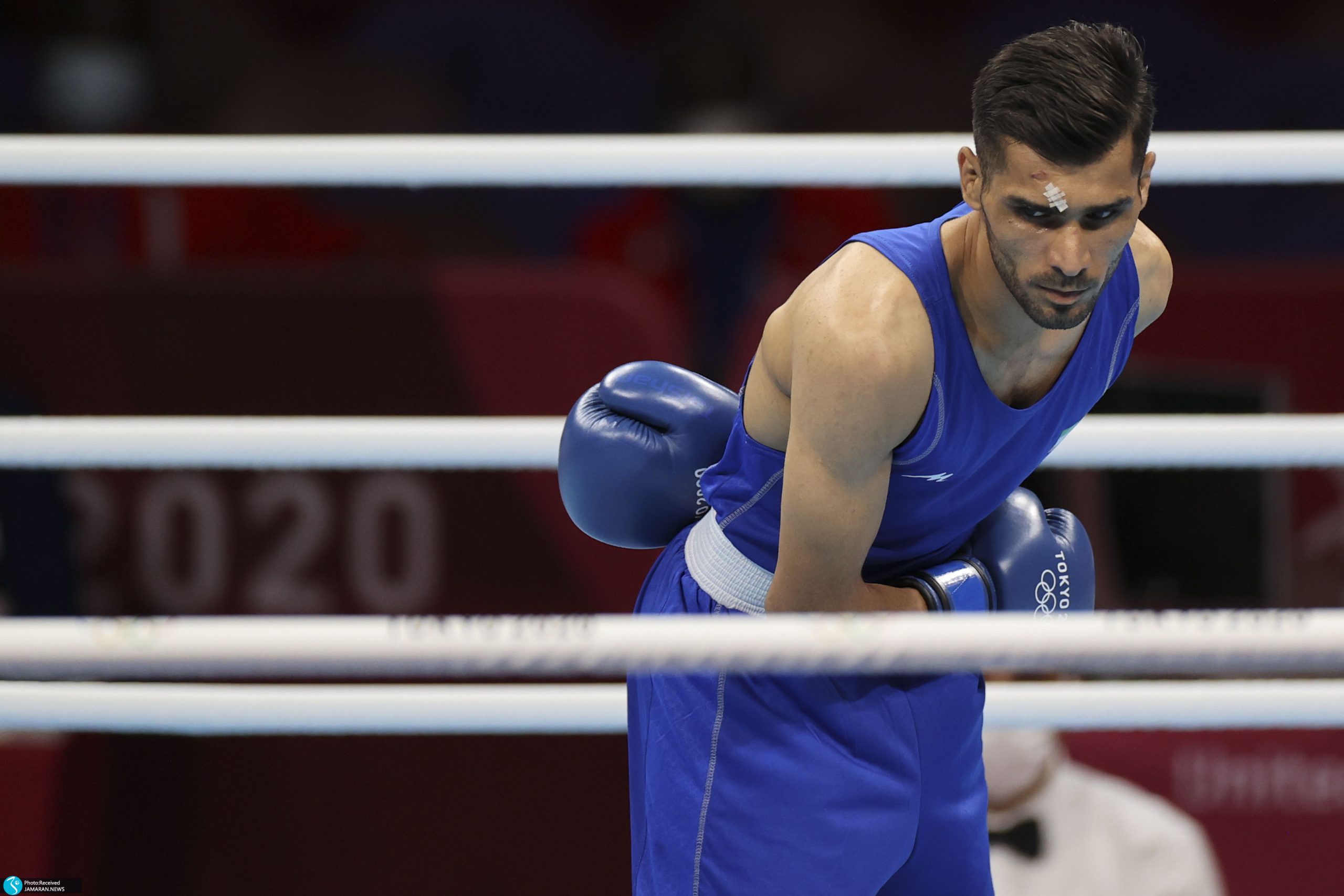 دانیال شه بخش بوکسور عکس