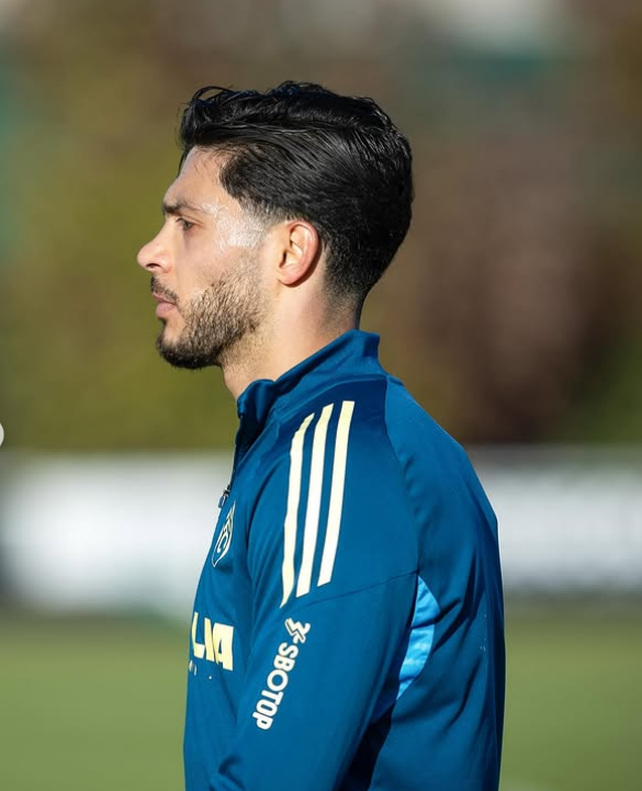 رائول خیمنز عکسها رائول خیمنز عکسها